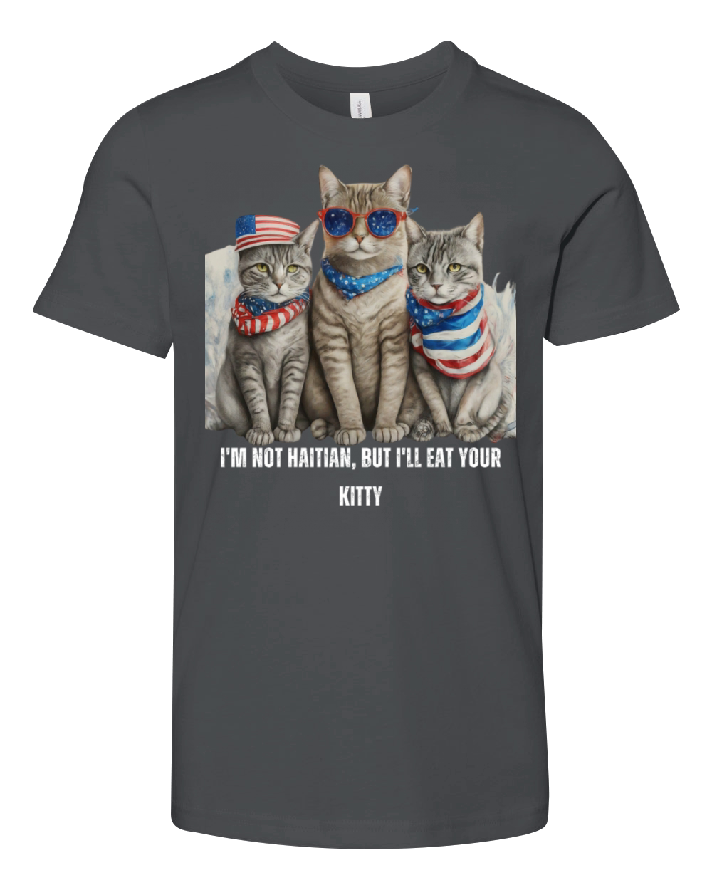 Im Not Haitian But Ill Eat Your Kitty Youth Unisex Jersey Tee
