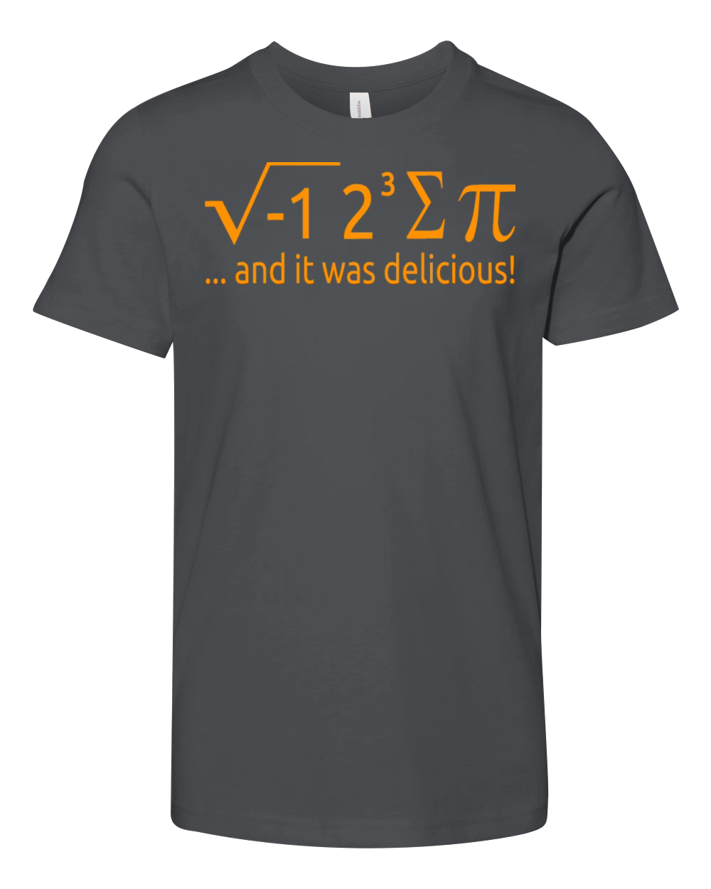 I Ate Some Pie And It Was Delicious 8 Pi Day 2BK1 Youth Unisex Jersey Tee
