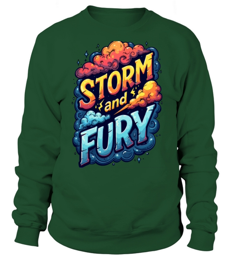 Storm And Fury Inspirational Motivational Gift Sweatshirt Unisex