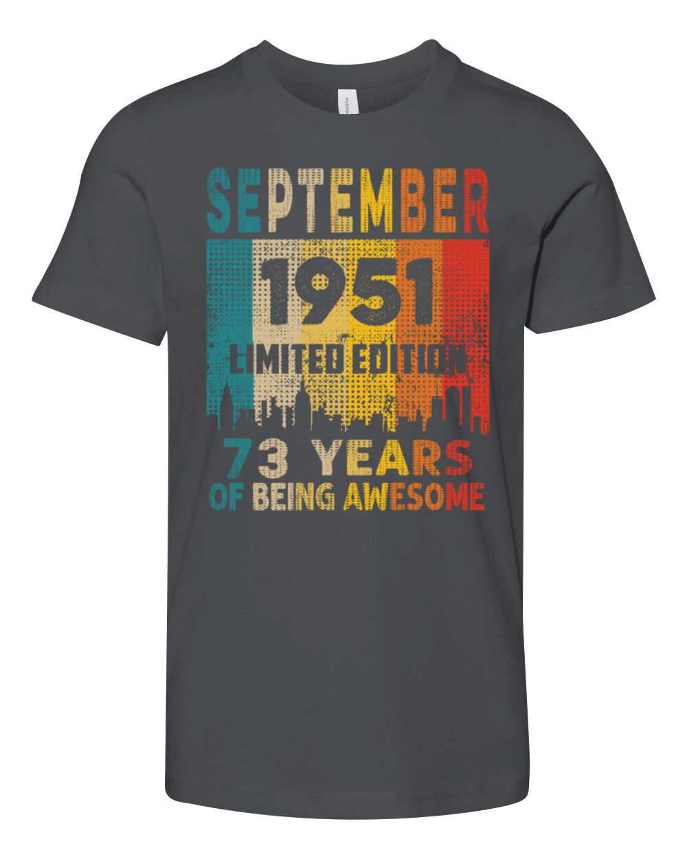 Born in SEPTEMBER 1951 Vintage 73rd Birthday Gift Youth Unisex Jersey Tee