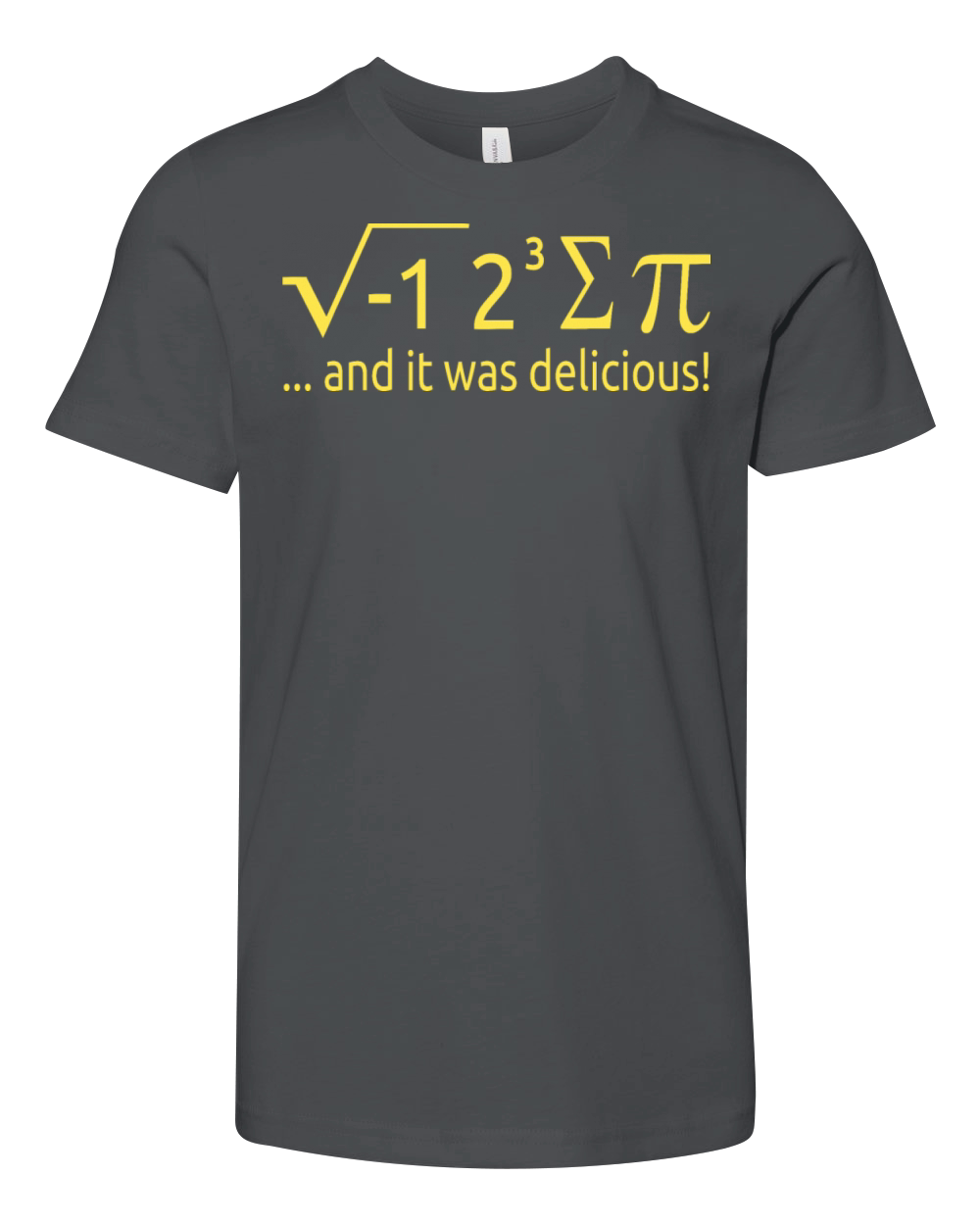 I Ate Some Pie And It Was Delicious 8 Pi Day 2BK4 Youth Unisex Jersey Tee