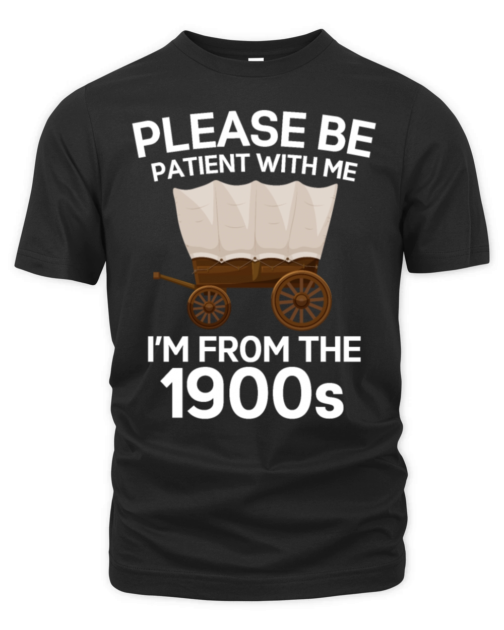 Please Be Patient Im From The 1900s Vintage Retro Organic Unisex T-shirt