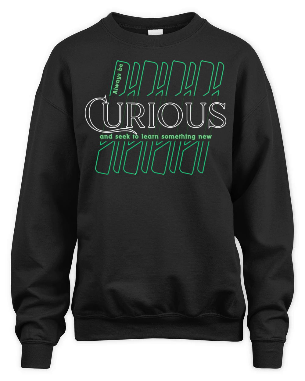 Curious 5B Unisex Premium Crewneck Sweatshirt