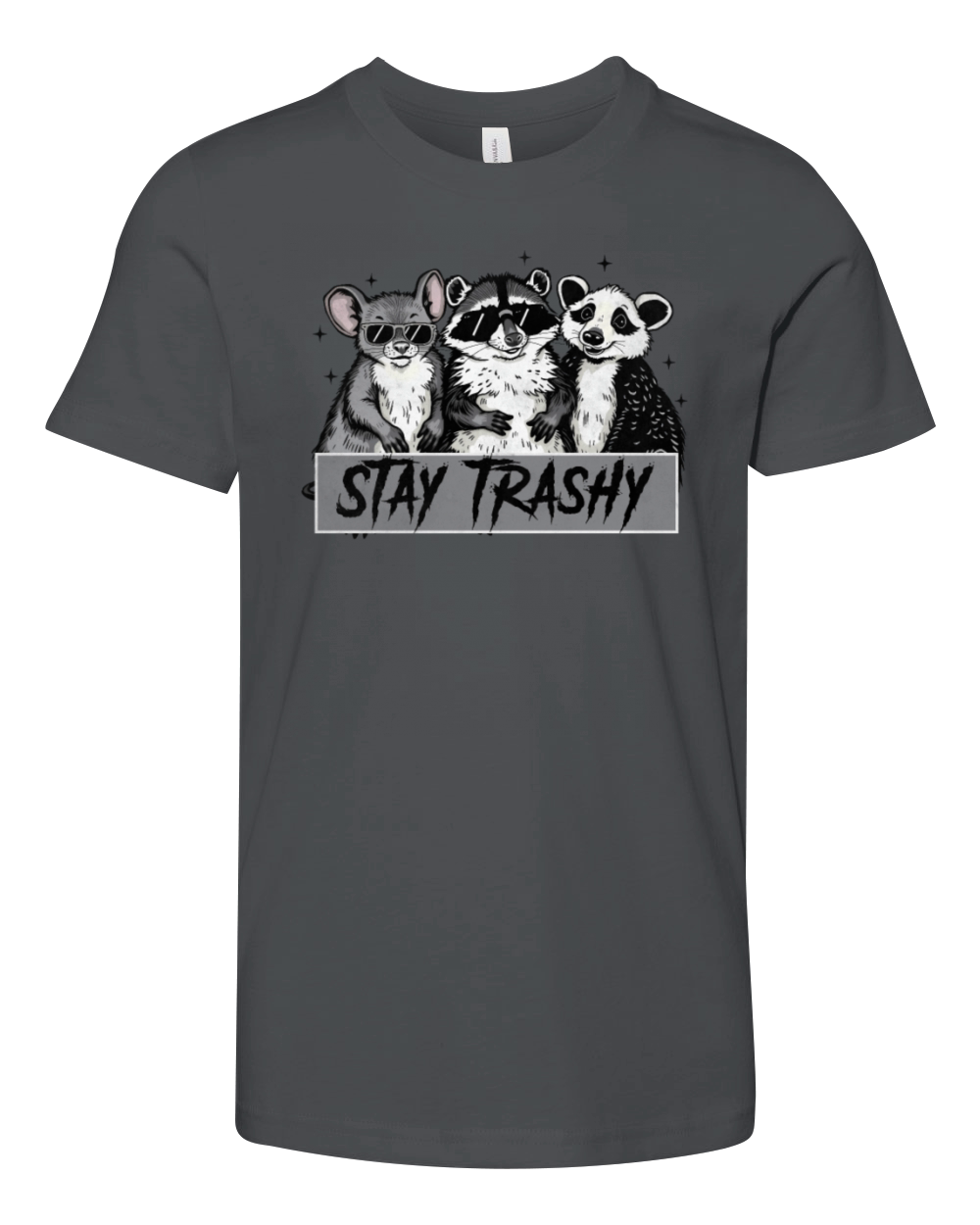 Stay trashy raccoons vintage Youth Unisex Jersey Tee