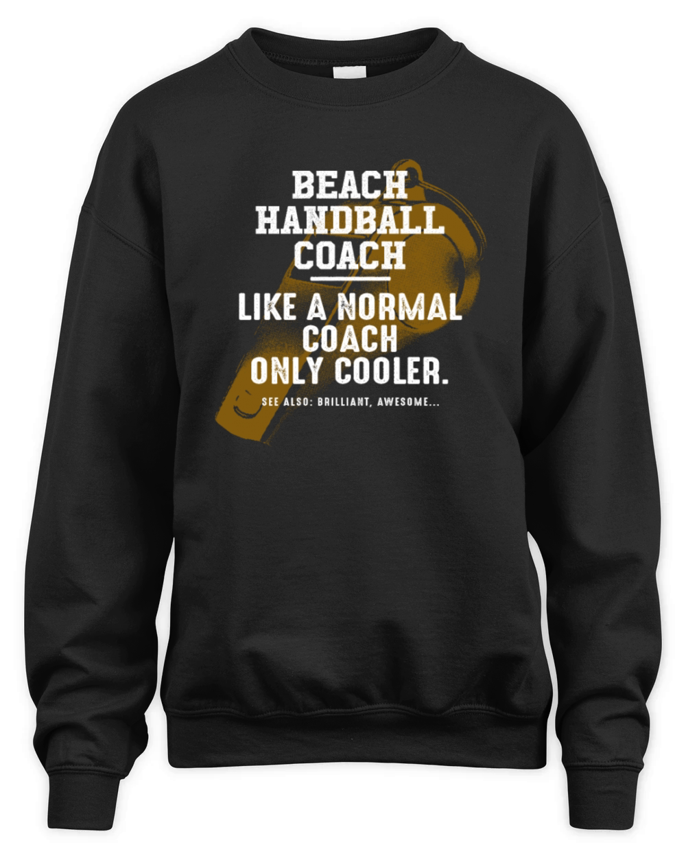 Beach Handball Coach Like a Normal Coach Handball Unisex Premium Crewneck Sweatshirt