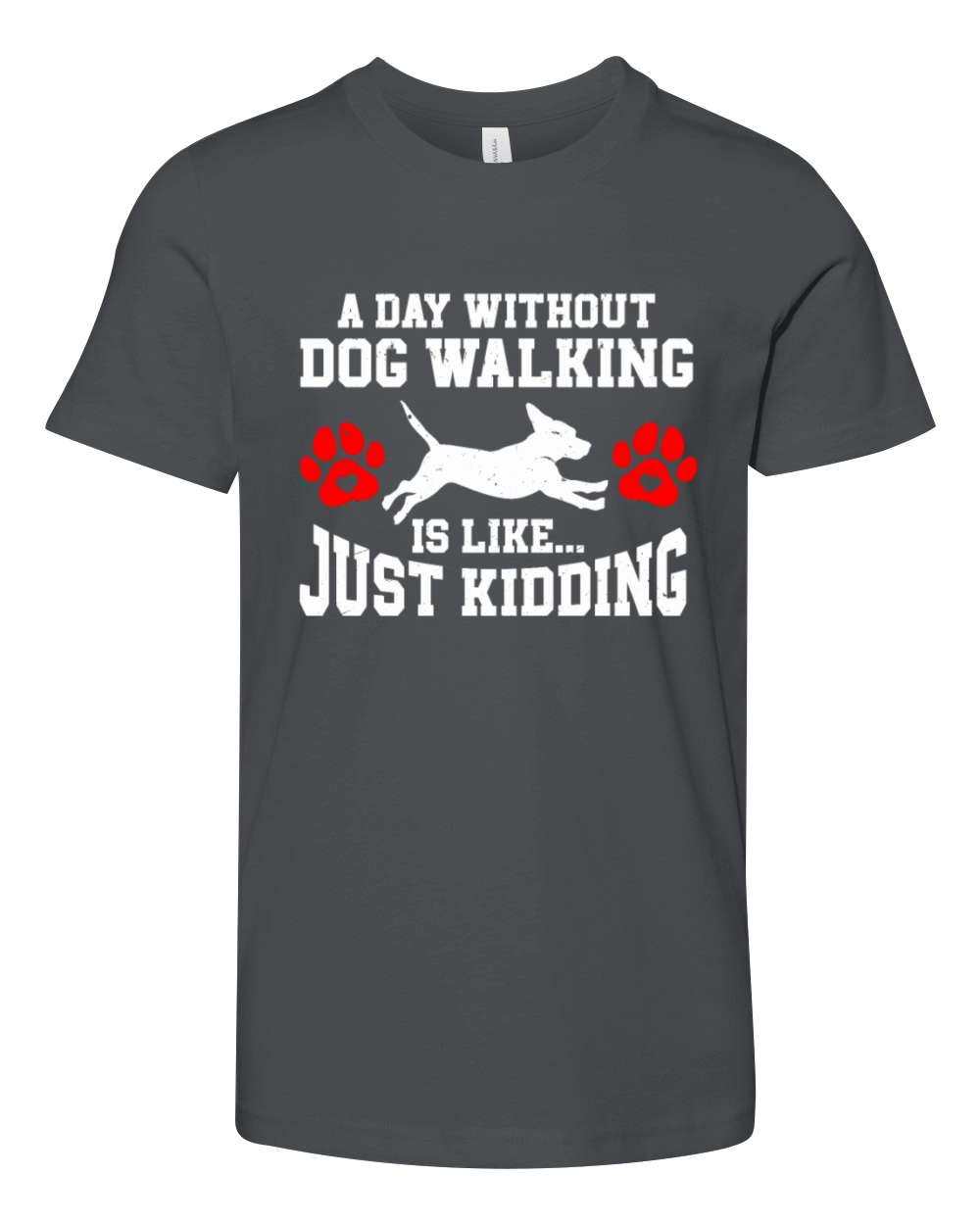 Dog Walker Professional Pet Sitter Dog Walking Youth Unisex Jersey Tee