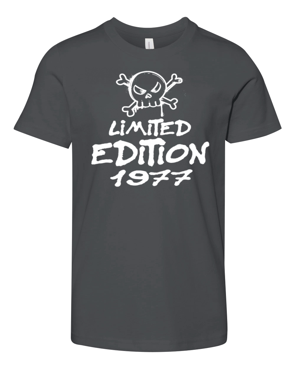 Limited Edition 1977 Birthday 1977 Born Youth Unisex Jersey Tee