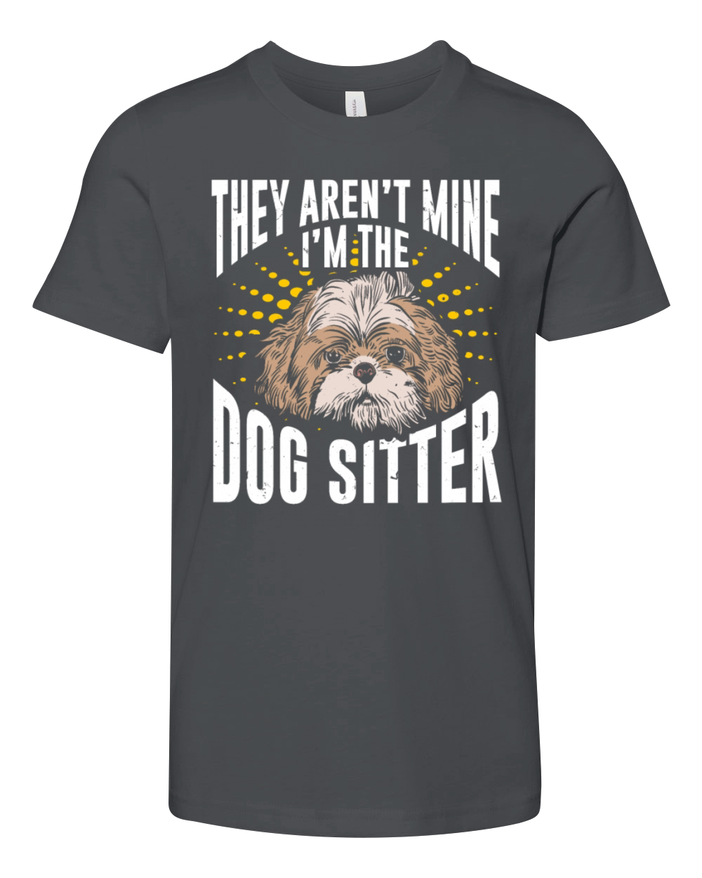 Dog Walker Professional Pet Sitter Dog Walking Youth Unisex Jersey Tee