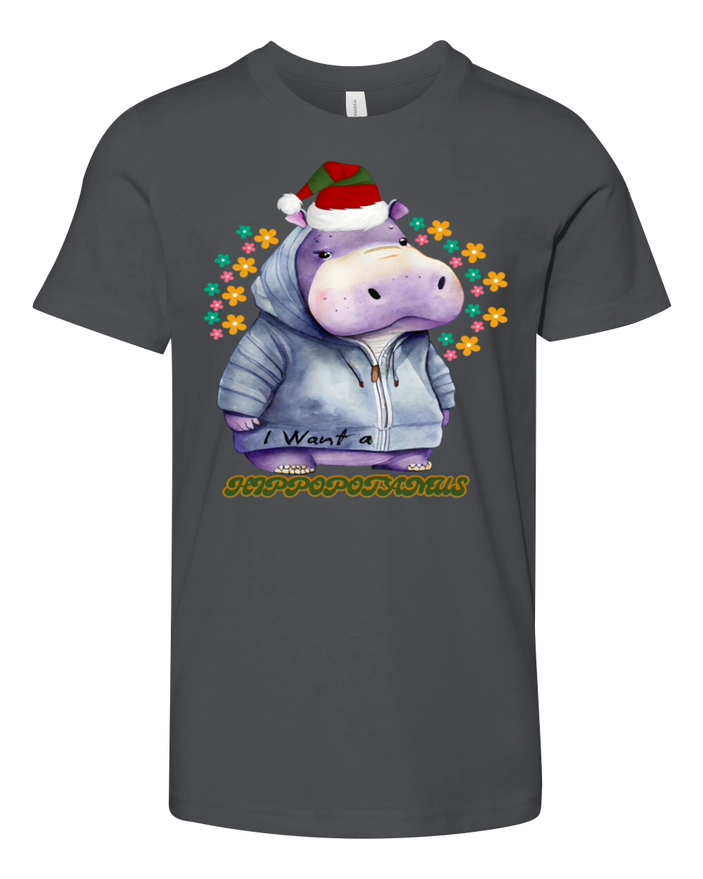 I want A Hippopotamus For Christmas Youth Unisex Jersey Tee