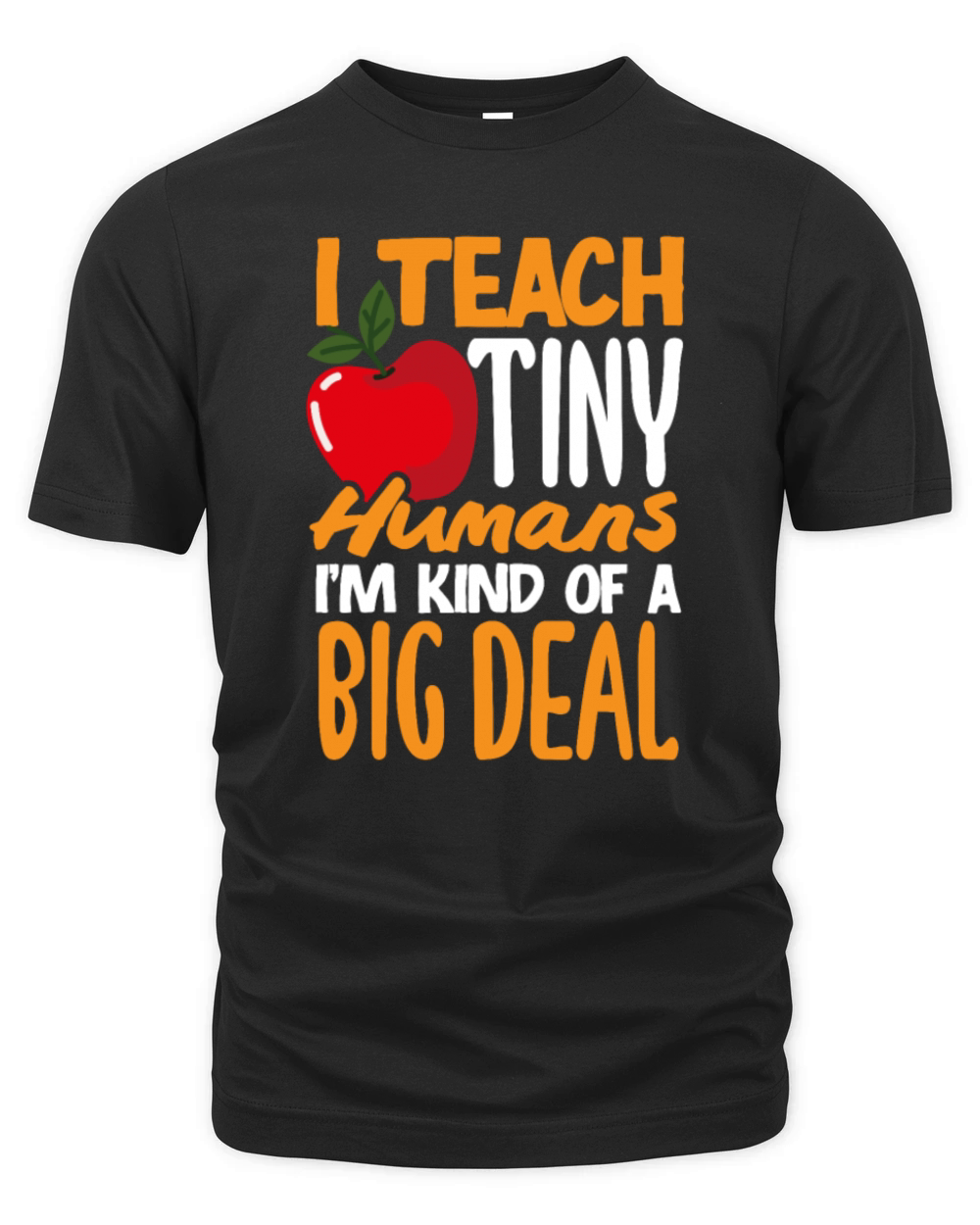 Funny Teacher Gift Organic Unisex T-shirt