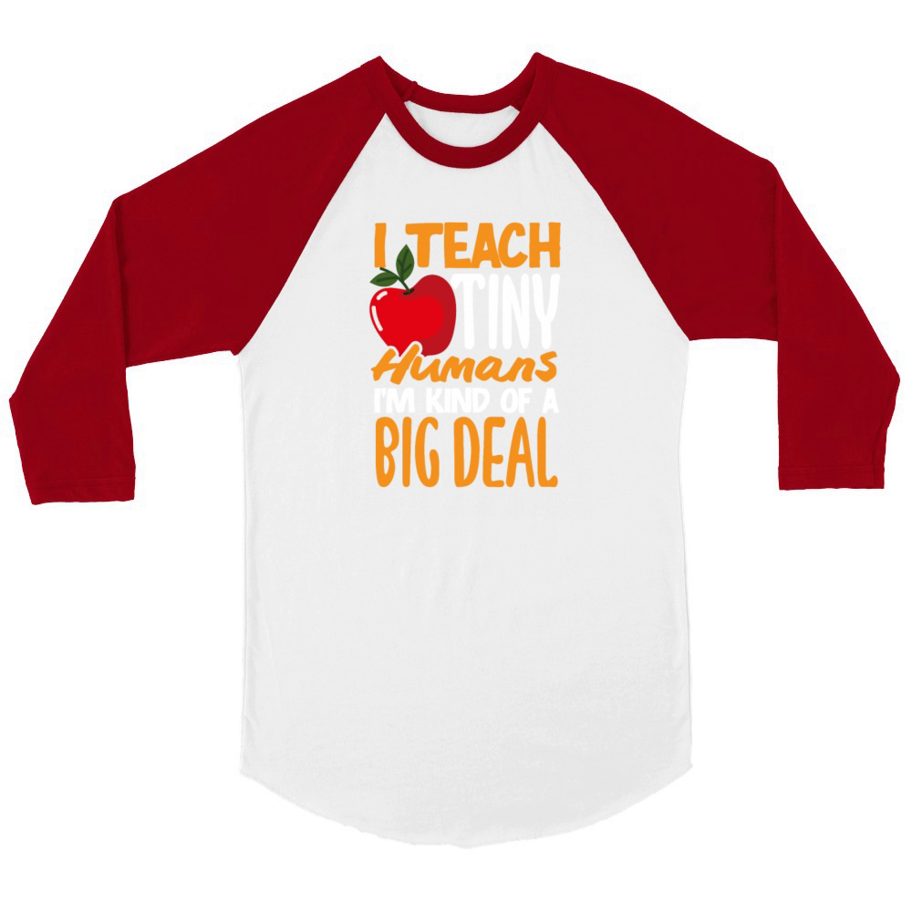 Funny Teacher Gift Unisex ¾ sleeve Raglan T-shirt