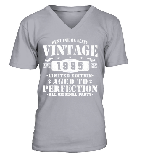30 Years 1995 Vintage Retro Birthday Gift V-Neck T-shirt