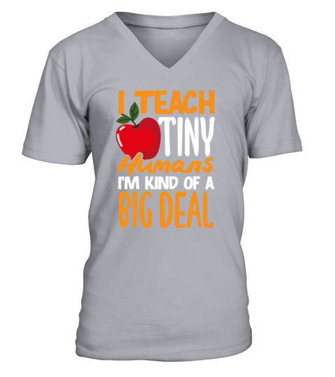 Funny Teacher Gift V-Neck T-shirt
