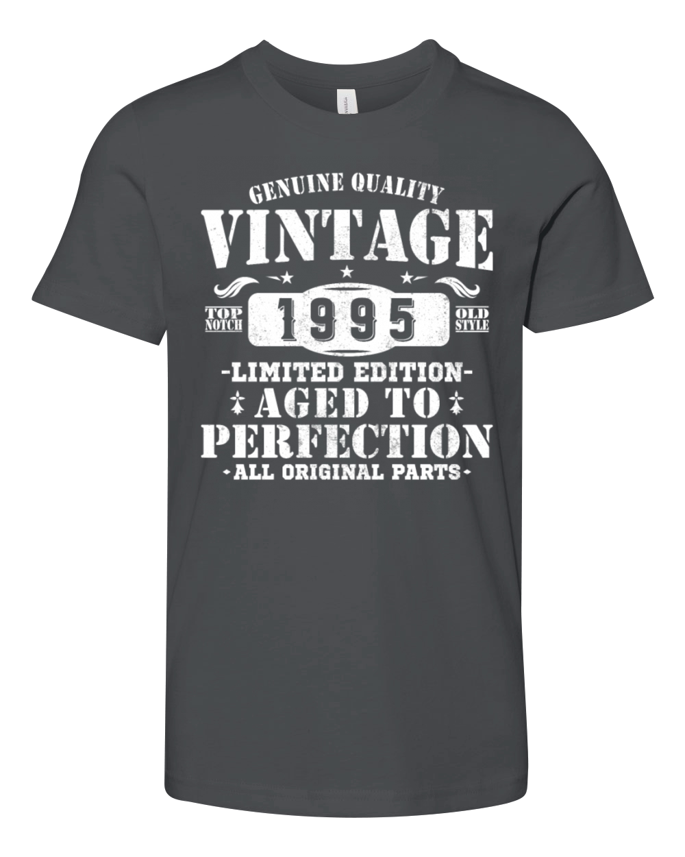 30 Years 1995 Vintage Retro Birthday Gift Youth Unisex Jersey Tee