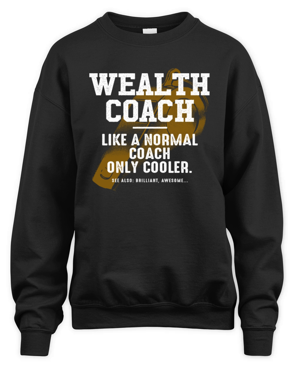 Wealth Coach Like a Normal Coach Financial Advisor Unisex Premium Crewneck Sweatshirt