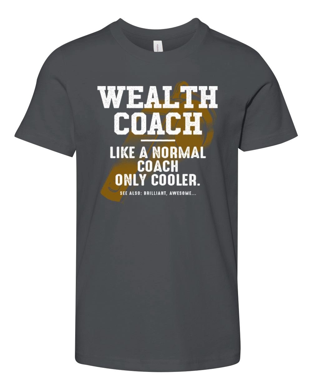 Wealth Coach Like a Normal Coach Financial Advisor Youth Unisex Jersey Tee