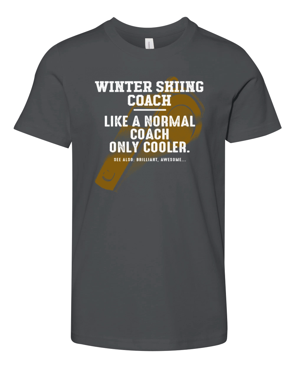 Winter Skiing Coach Like a Normal Coach Alpine Ski Youth Unisex Jersey Tee