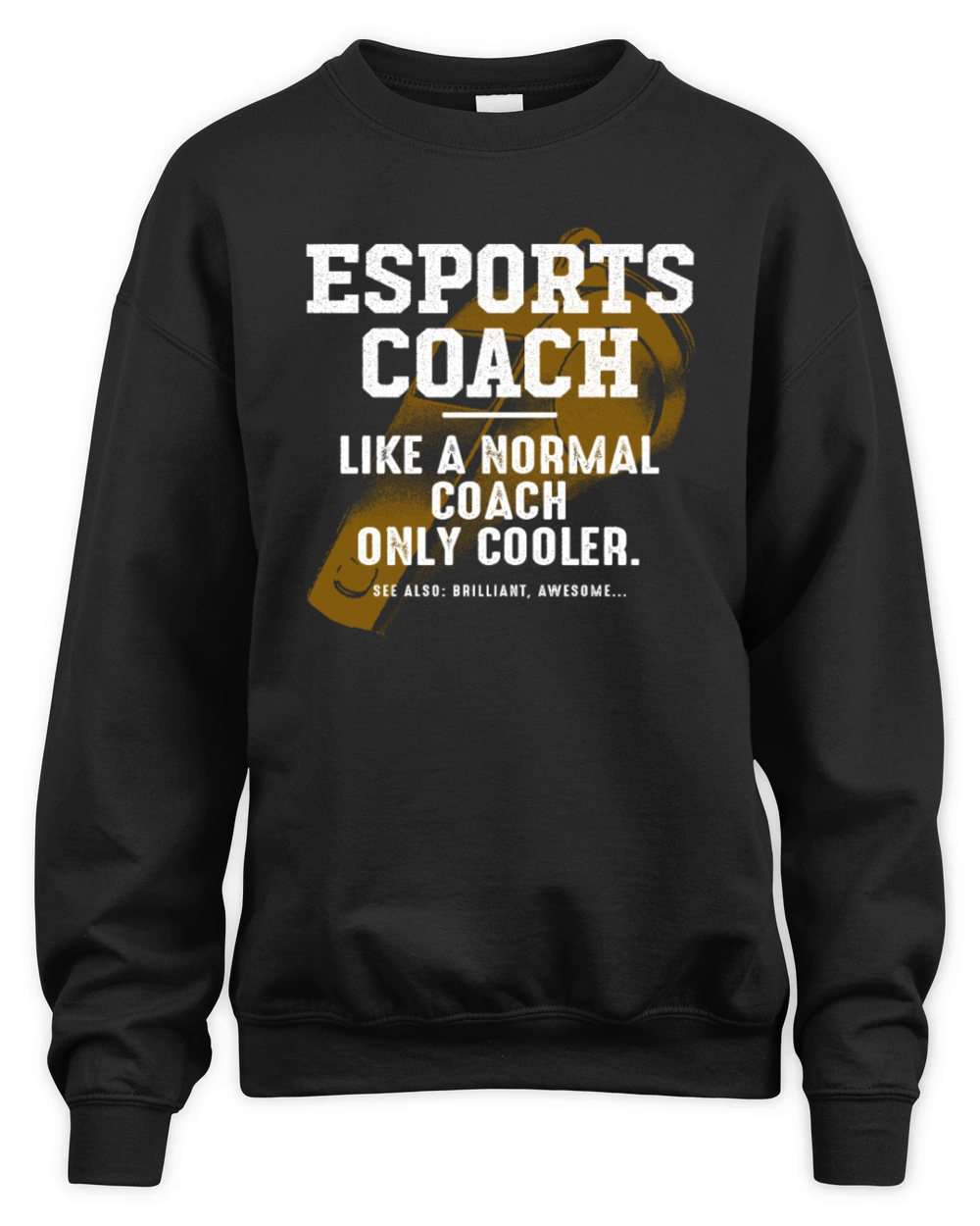 Esports Coach Like a Normal Coach Gamer Funny Vide Unisex Premium Crewneck Sweatshirt