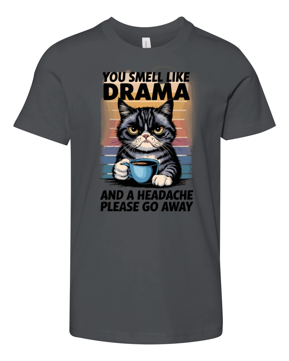 Funny Cat Drama with Humorous Quote for a Cat Youth Unisex Jersey Tee