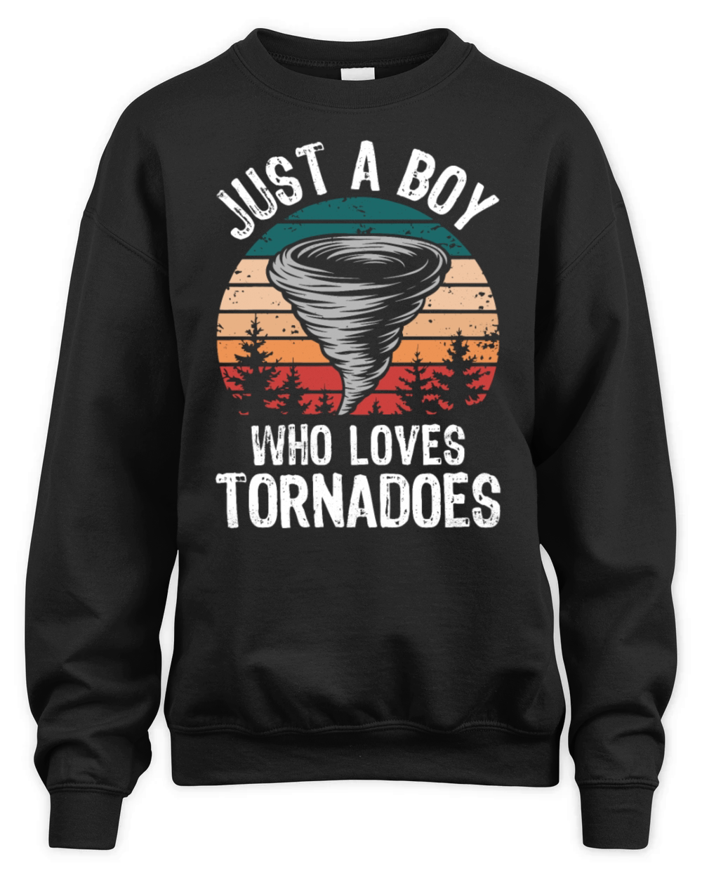 Just a Boy Who Loves Tornadoes Vintage Weather Unisex Premium Crewneck Sweatshirt