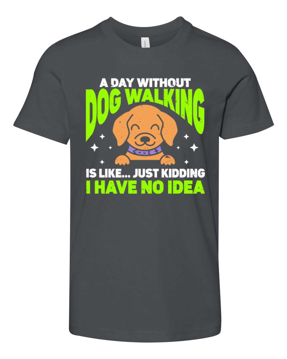 Dog Walker Professional Pet Sitter Dog Walking Youth Unisex Jersey Tee