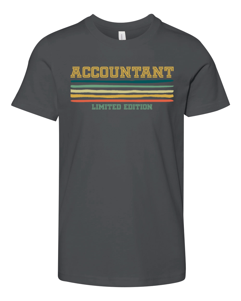 Accountant Limited Edition Retro Vintage Youth Unisex Jersey Tee