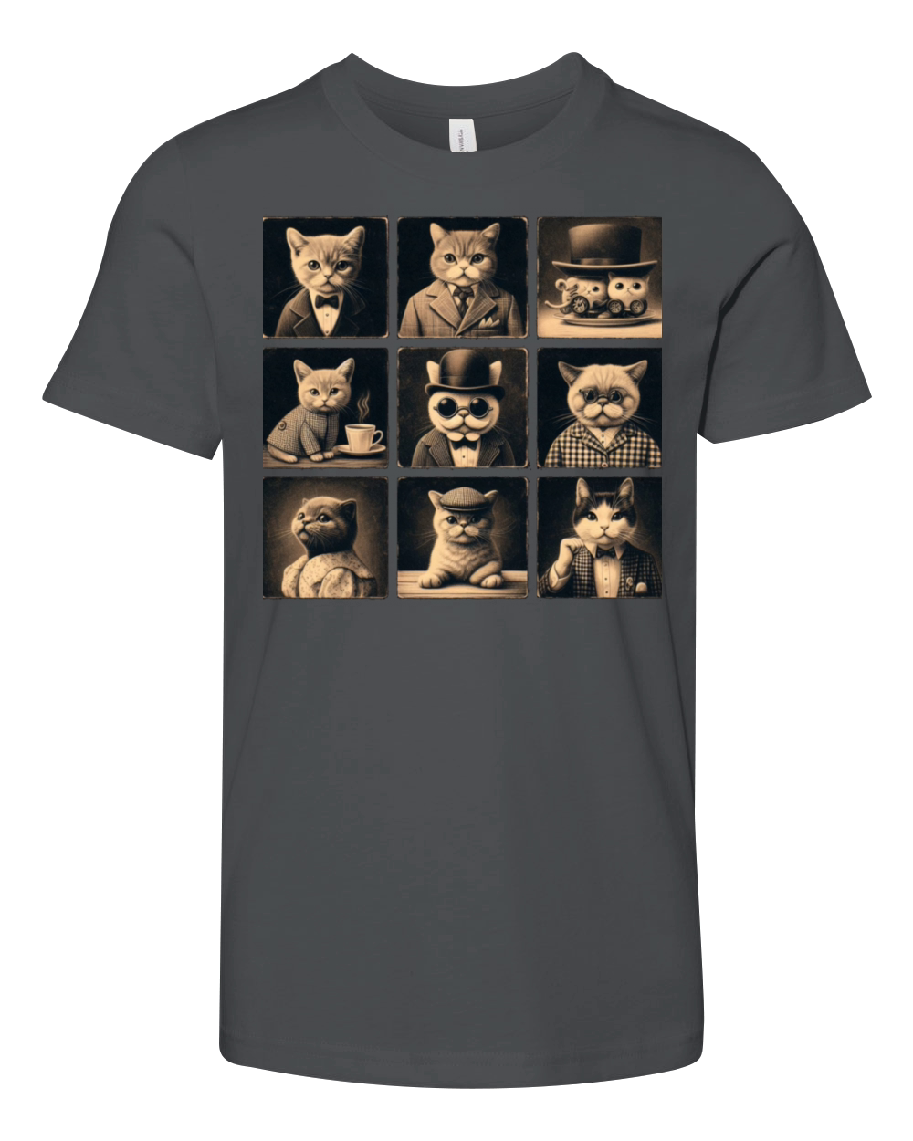 "Cat Chronicles" Youth Unisex Jersey Tee