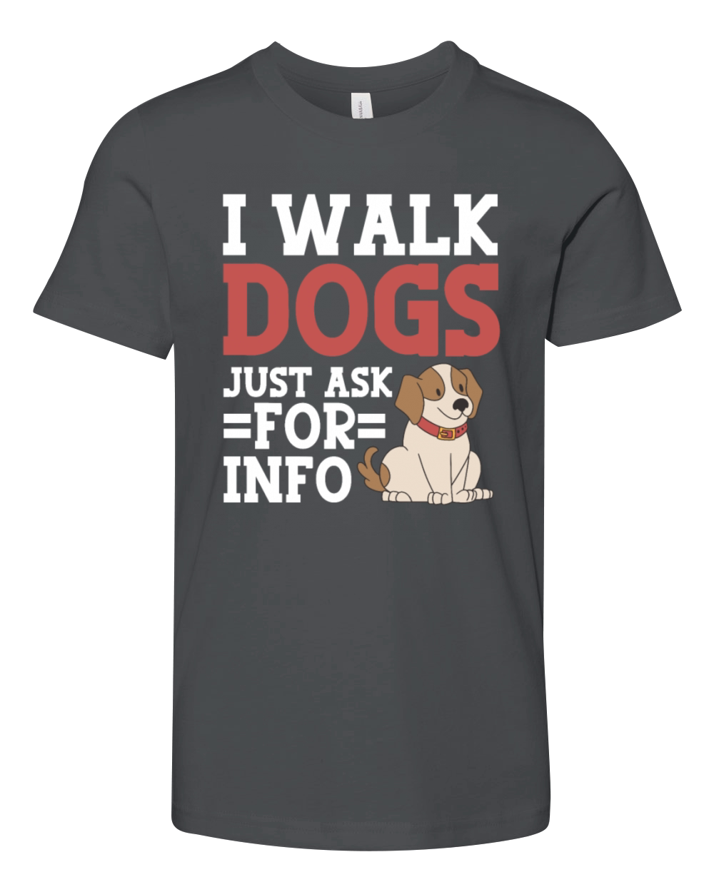 Dog Walker Professional Pet Sitter Dog Walking Youth Unisex Jersey Tee