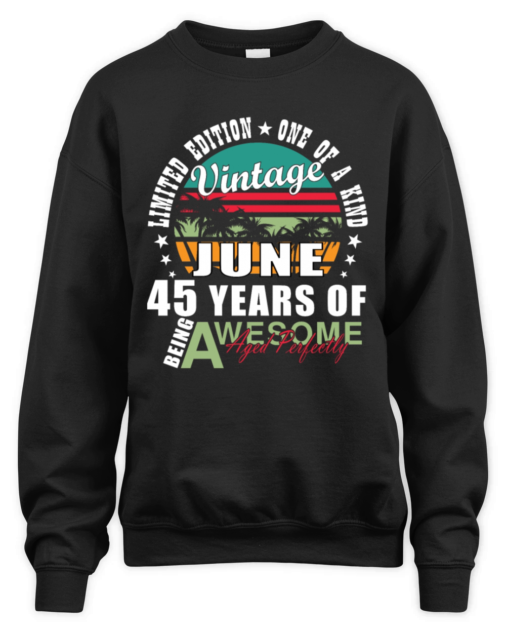 45th birthday 45 years June 1979 Unisex Premium Crewneck Sweatshirt