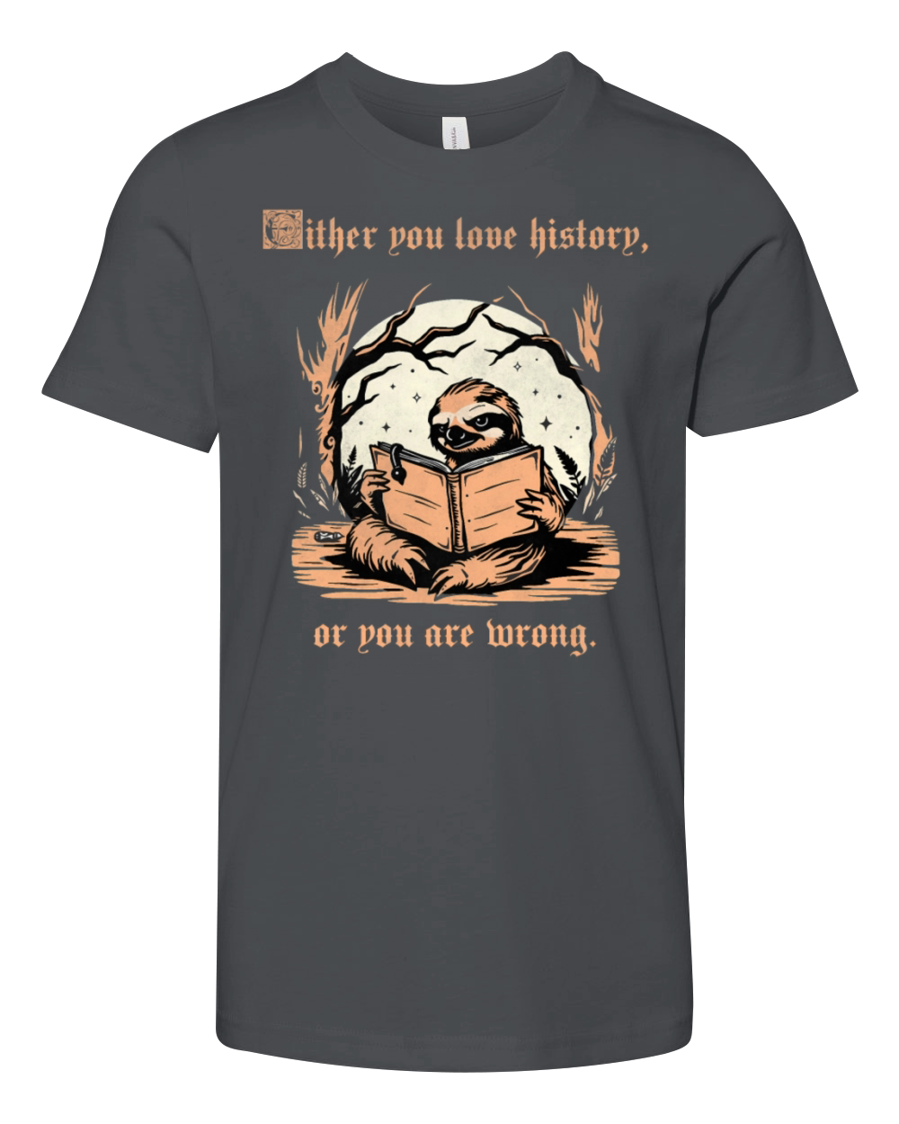 Either You Love History Or You Are Wrong Sloth vin Youth Unisex Jersey Tee