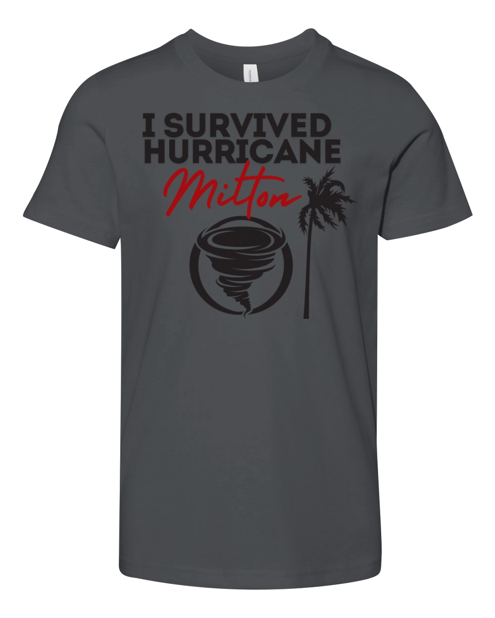 Hurricane Milton Youth Unisex Jersey Tee