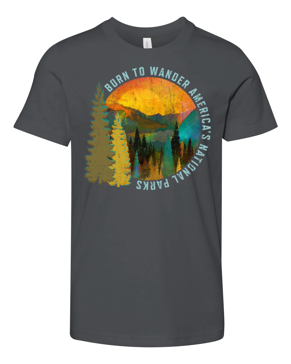 Born to Wander Americas National Parks Vintage Youth Unisex Jersey Tee