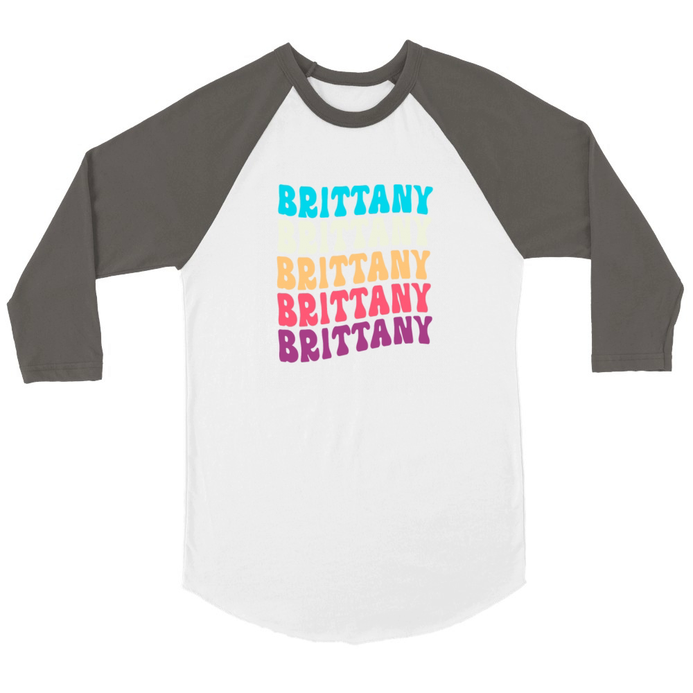 Retro Colorful Pet Lover Brittany Spaniel Dog Unisex ¾ sleeve Raglan T-shirt