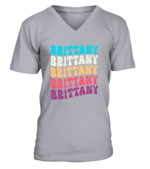 Retro Colorful Pet Lover Brittany Spaniel Dog V-Neck T-shirt