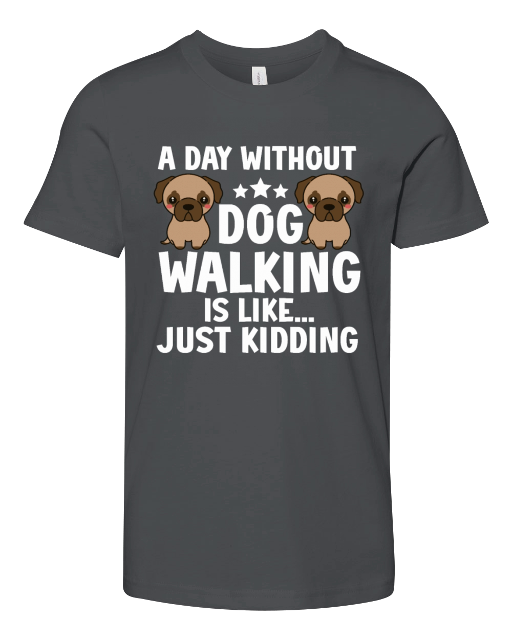 Dog Walker Professional Pet Sitter Dog Walking Youth Unisex Jersey Tee