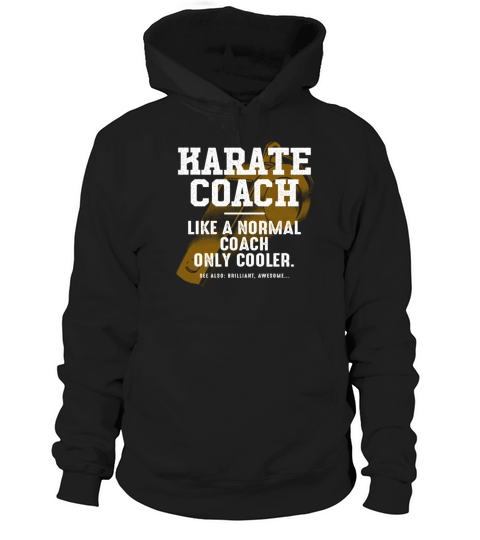 Karate Coach Like a Normal Coach Sensei Funny Hoodie Unisex