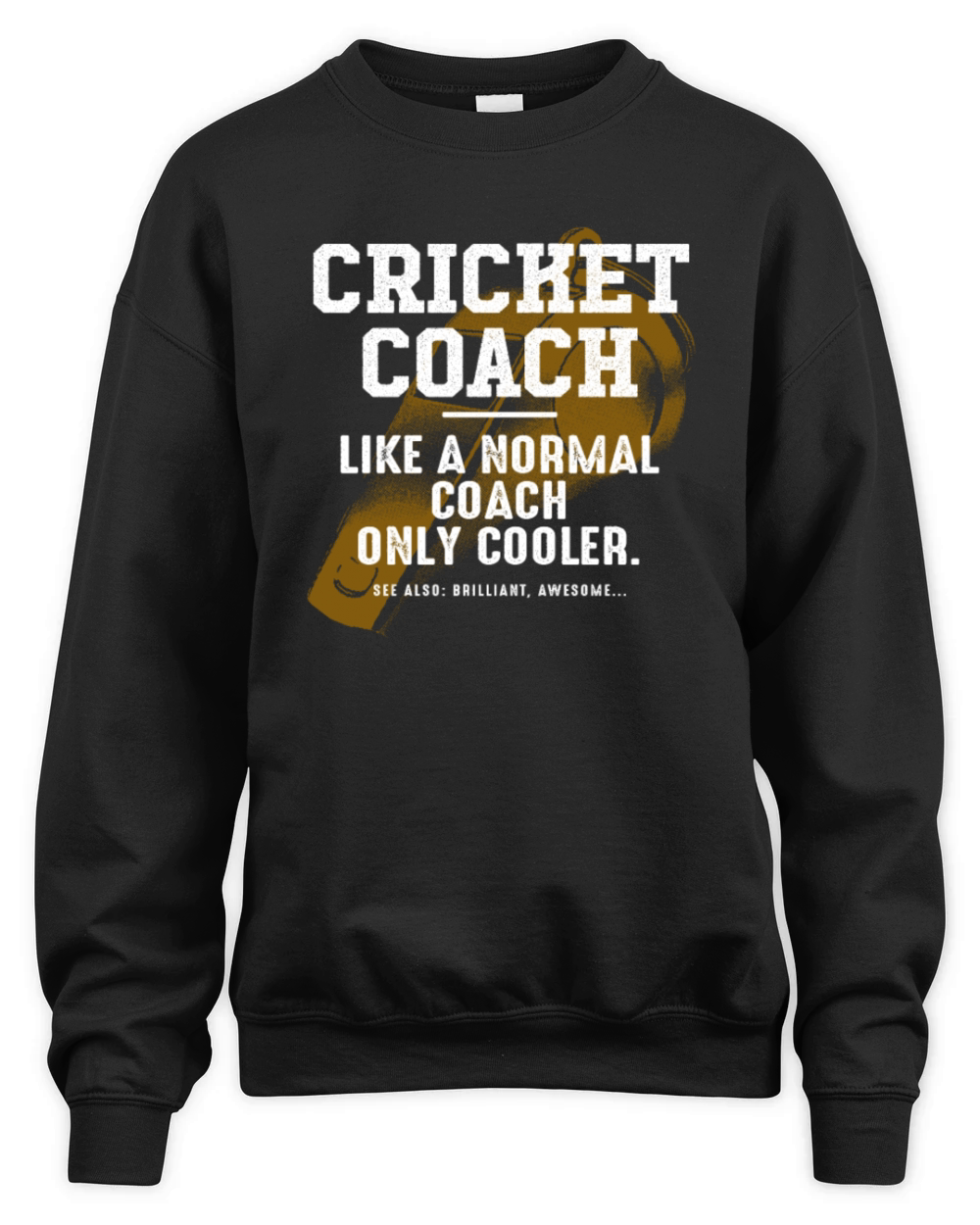 Cricket Coach Like a Normal Coach Cricketer Funny Unisex Premium Crewneck Sweatshirt