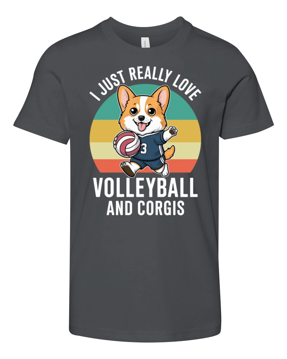 Funny I Just Really Love Volleyball and Corgis Youth Unisex Jersey Tee