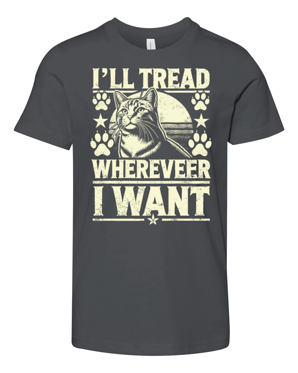 Ill Tread Wherever I Want Cat Lovers Feline Art Youth Unisex Jersey Tee