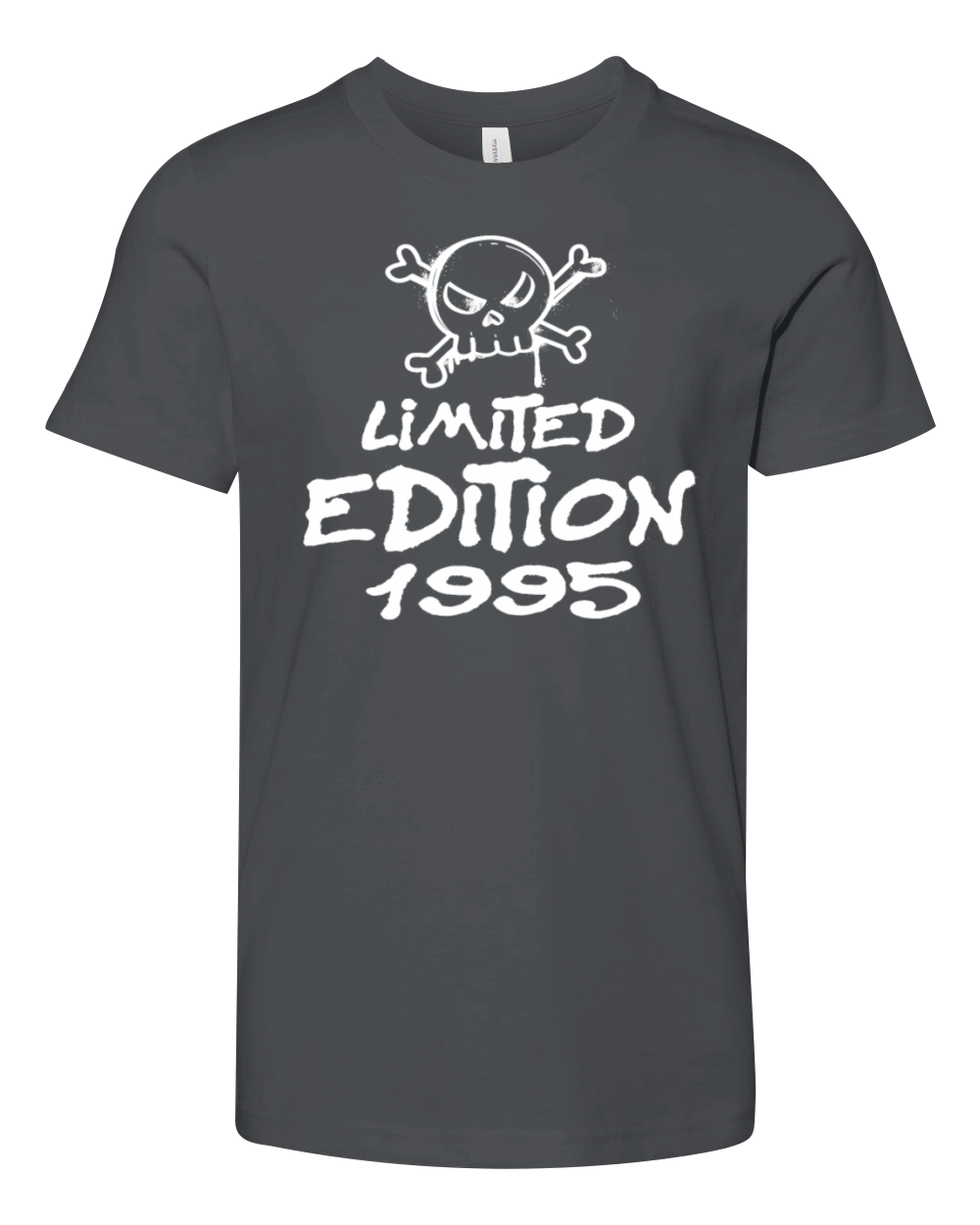 Limited Edition 1995 Birthday 1995 Born Youth Unisex Jersey Tee