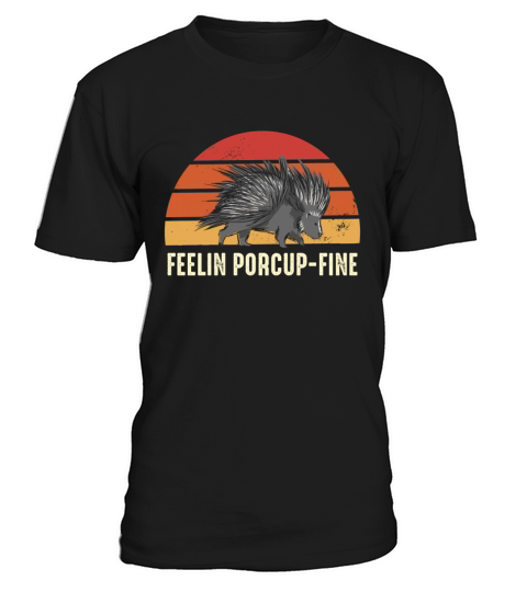 Feelin Porcup-Fine Retro Sunset Porcupine T-Shirt Unisex