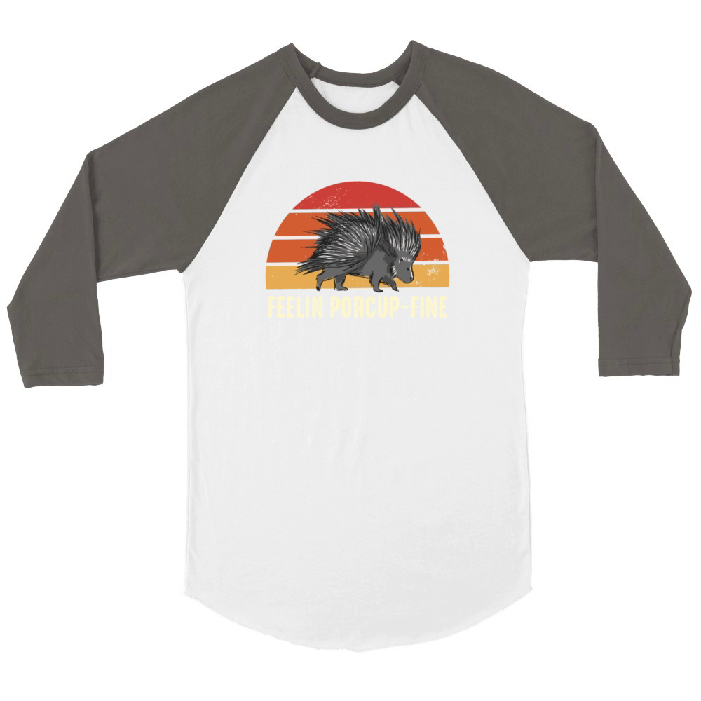 Feelin Porcup-Fine Retro Sunset Porcupine Unisex ¾ sleeve Raglan T-shirt