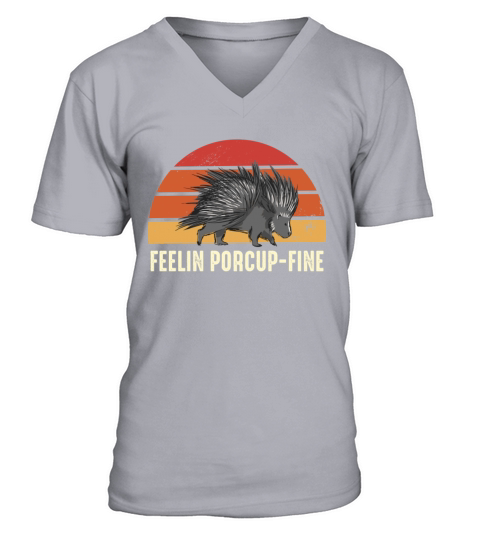 Feelin Porcup-Fine Retro Sunset Porcupine V-Neck T-shirt