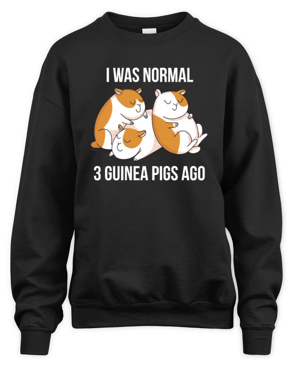 I Was Normal 3 Guinea Pigs Ago Funny Pet Lover Unisex Premium Crewneck Sweatshirt