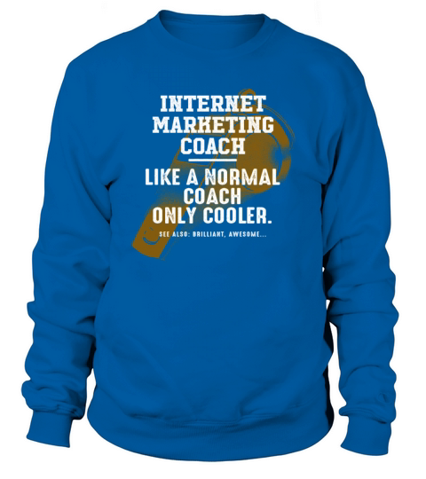 Internet Marketing Coach Like a Normal Coach Sweatshirt Unisex