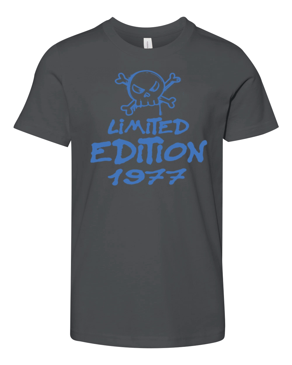 Limited Edition 1977 Birthday 1977 Born Youth Unisex Jersey Tee