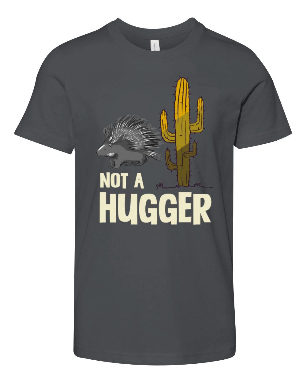 Not A Hugger Porcupine Cactus Humor Graphic Youth Unisex Jersey Tee