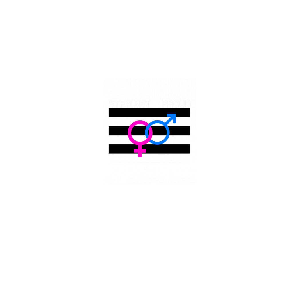 straight and proud t shirt