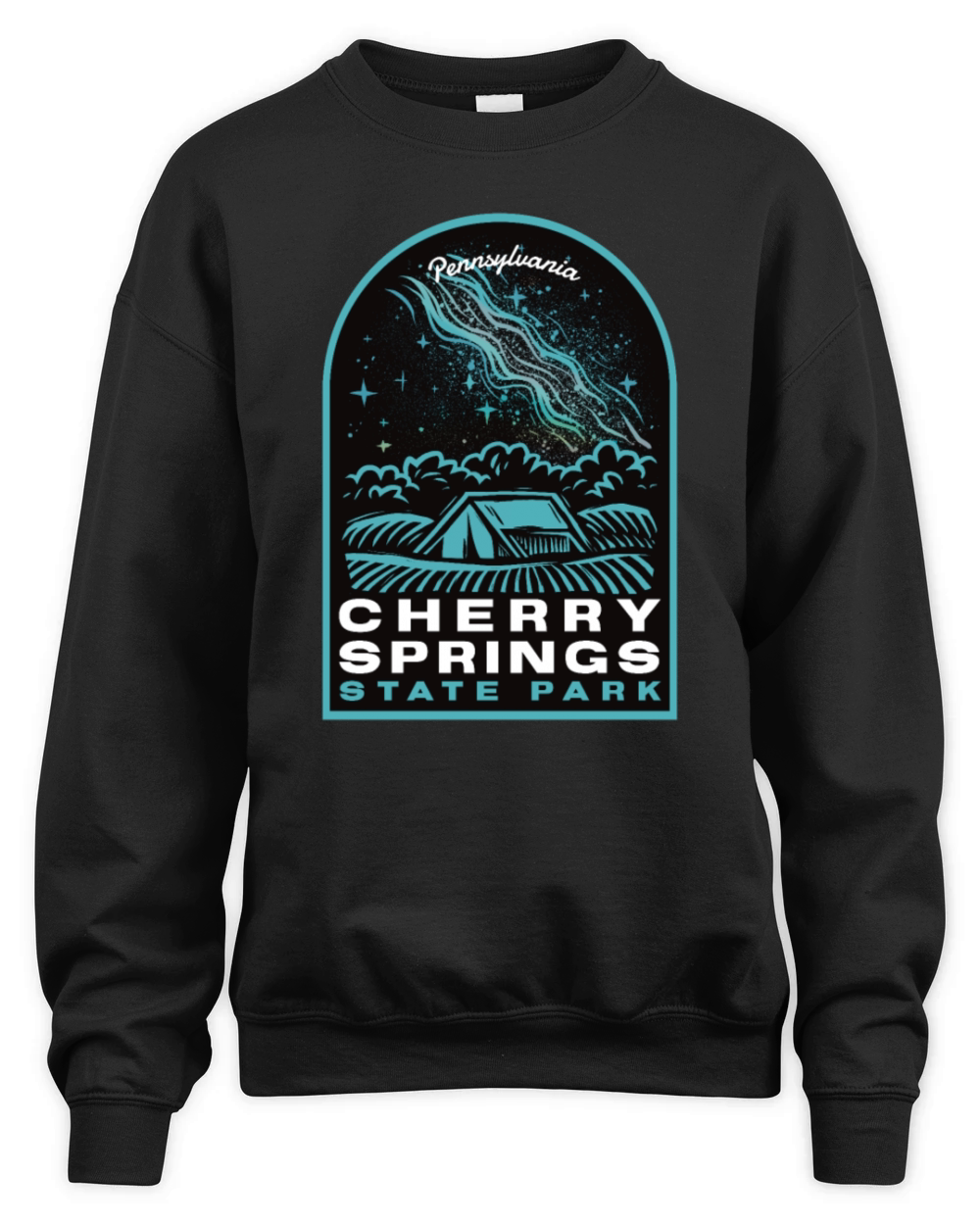 Cherry Springs State Park Pennsylvania Stars Unisex Premium Crewneck Sweatshirt
