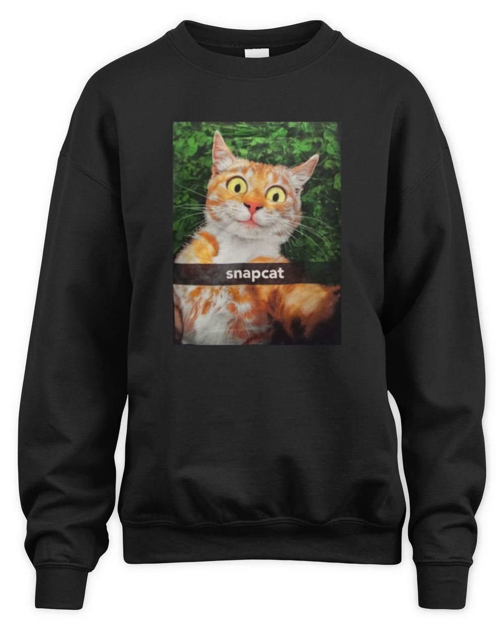 snapcat t shirt